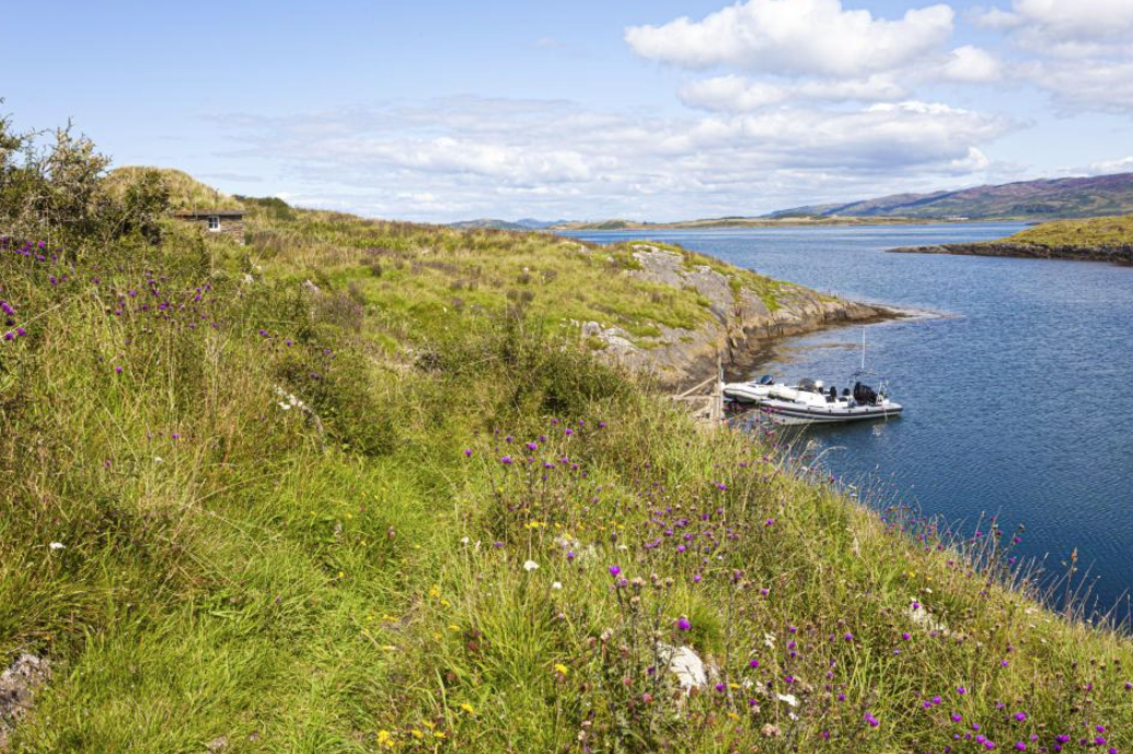 位於英國蘇格蘭的這個小島,減價後以約286萬放售。(互聯網)