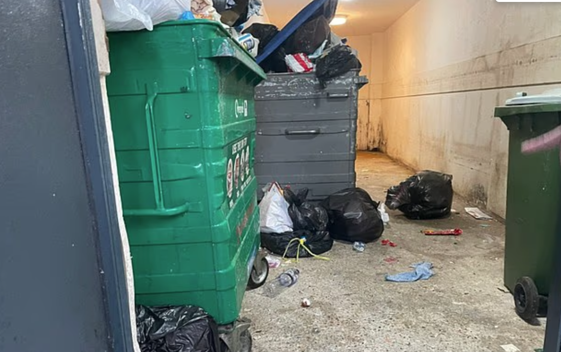 修咸頓亦被拍到垃圾桶滿瀉的畫面。(互聯網)