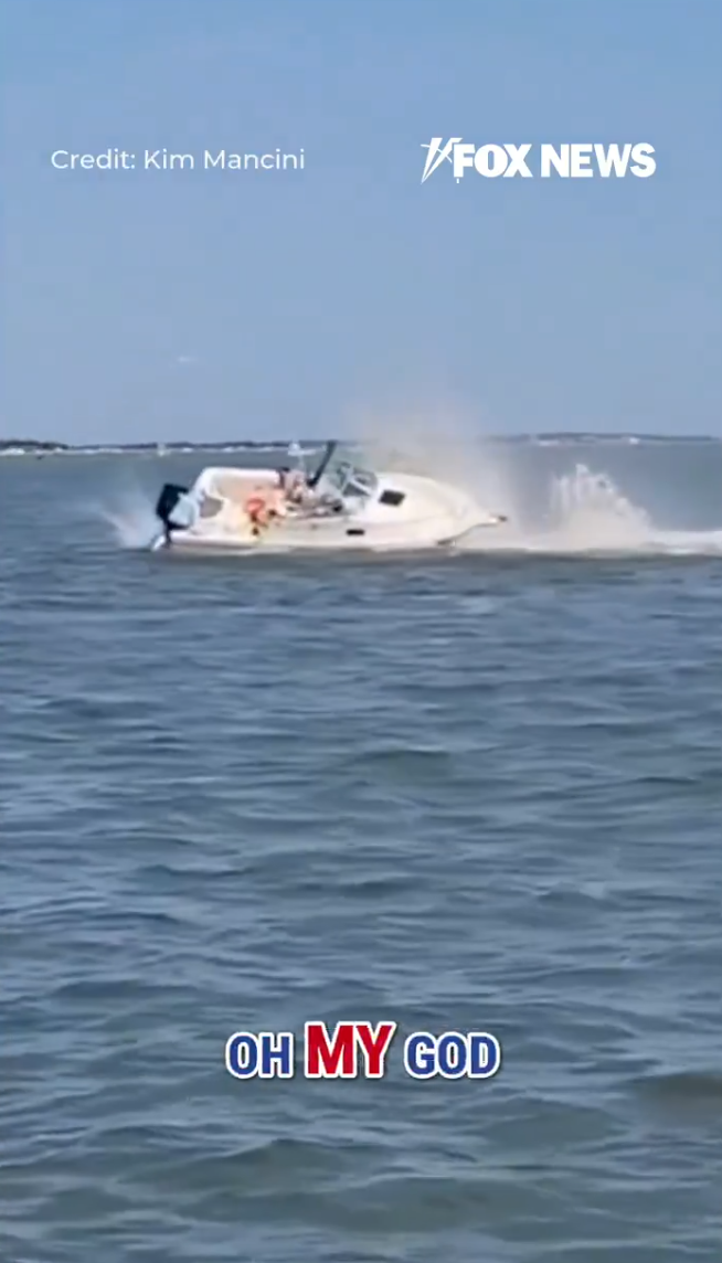 美國新澤西州傳出有船隻意外撞上鯨魚的意外。(圖/翻攝自X)