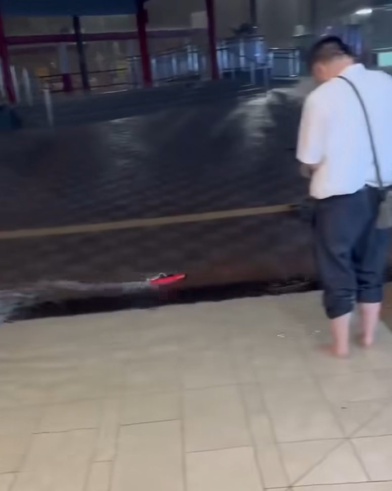 何文田愛民邨商場愛民廣場有人「雨中作樂」,在水浸的商場內放遙控船。(影片截圖)