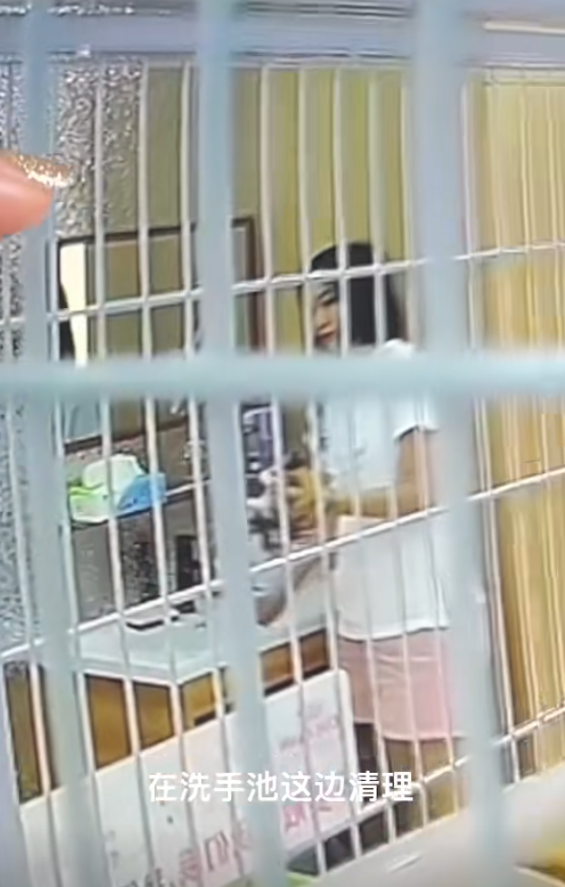 內地遼寧瀋陽市傳出誇張的虐貓事件。一間當地的貓咪咖啡廳控訴,一名女客人在包廂內暴力虐待店內貓咪,導致4隻貓死亡,以及數隻貓重傷。咖啡廳負責人表示已報警處理。