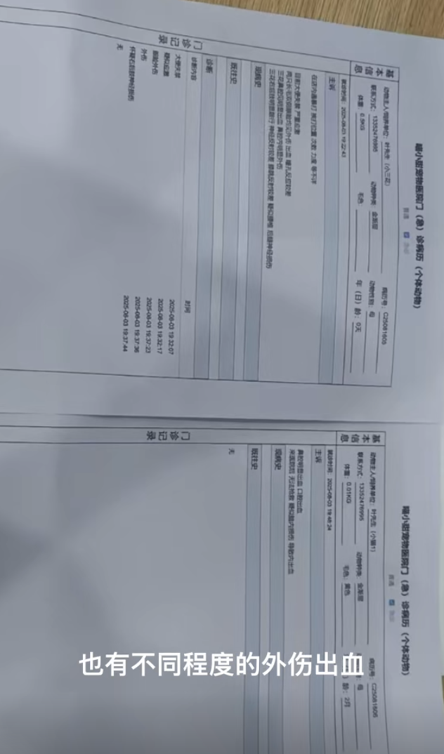 內地遼寧瀋陽市傳出誇張的虐貓事件。一間當地的貓咪咖啡廳控訴,一名女客人在包廂內暴力虐待店內貓咪,導致4隻貓死亡,以及數隻貓重傷。咖啡廳負責人表示已報警處理。