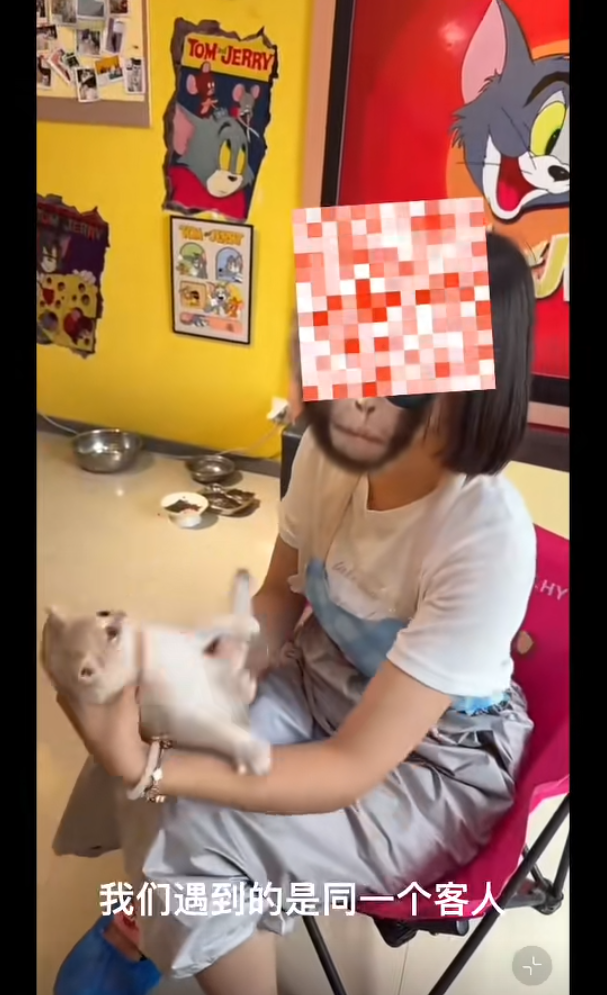 內地遼寧瀋陽市傳出誇張的虐貓事件。一間當地的貓咪咖啡廳控訴,一名女客人在包廂內暴力虐待店內貓咪,導致4隻貓死亡,以及數隻貓重傷。咖啡廳負責人表示已報警處理。