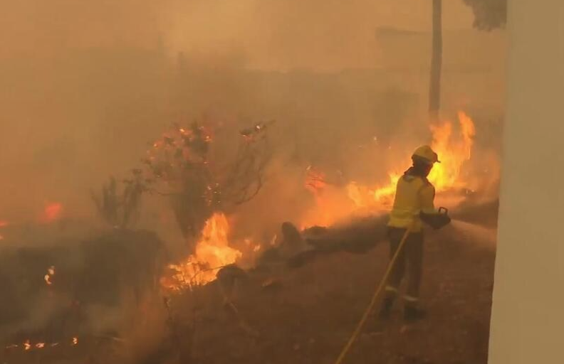 歐洲熱浪|法國衝上43度 意大利4歲童熱死