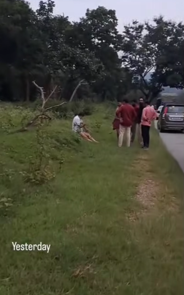 男子與大象自拍開閃光燈被攻擊 遭追甩褲露股踩踏(有片)