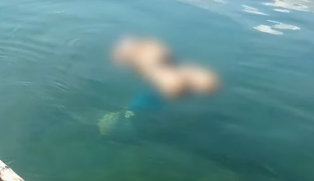 菲律賓前選美王后店舖內遭綁架 赤裸浮屍海面