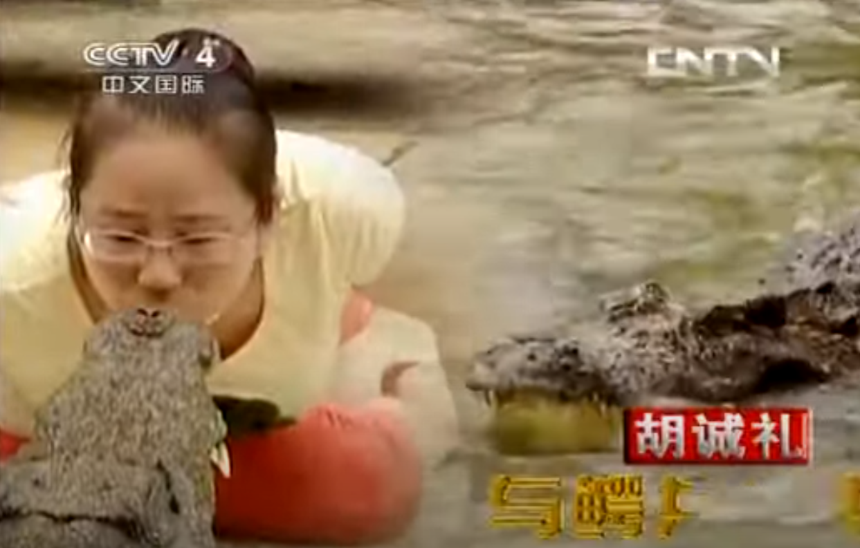 根據法院公告,這批鱷魚原屬於中山百草園農業科技有限公司,所有人為廣東知名的鱷魚產業商人胡誠禮。胡誠禮有「中國第一位女性馴鱷師」、「鱷魚女神」等稱號,但自2020年起已被列入失信被執行人名單。此次拍賣起因為胡誠禮拖欠修建鱷魚池的工程款項。