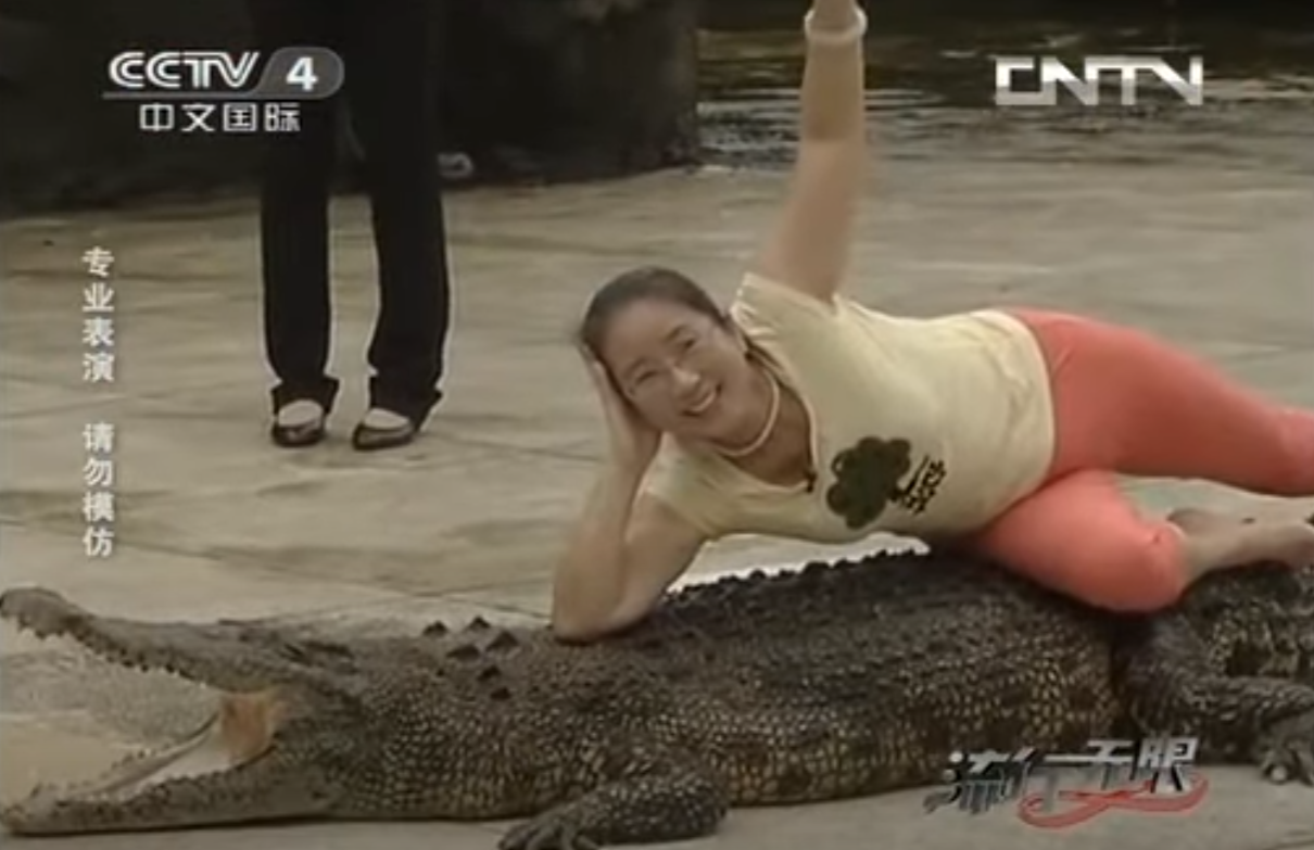 根據法院公告,這批鱷魚原屬於中山百草園農業科技有限公司,所有人為廣東知名的鱷魚產業商人胡誠禮。胡誠禮有「中國第一位女性馴鱷師」、「鱷魚女神」等稱號,但自2020年起已被列入失信被執行人名單。此次拍賣起因為胡誠禮拖欠修建鱷魚池的工程款項。