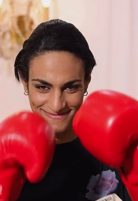 希莉芙。(資料圖片)