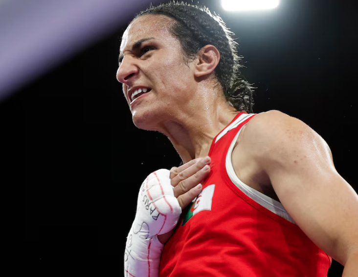 希莉芙。(資料圖片)