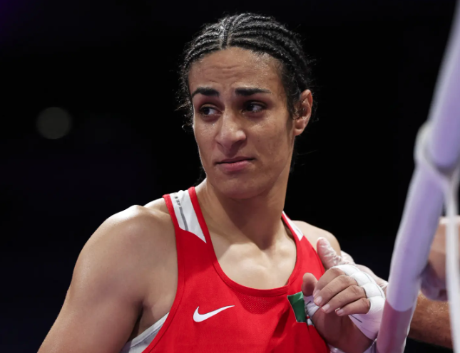 希莉芙。(資料圖片)