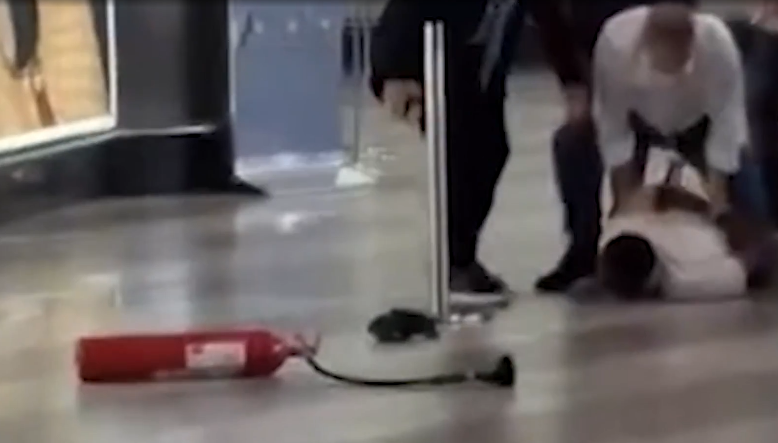 男子米蘭機場放火拿鐵鎚怒砸 旅客慌忙拖喼逃離 勇漢持滅火筒制服兇徒(有片)