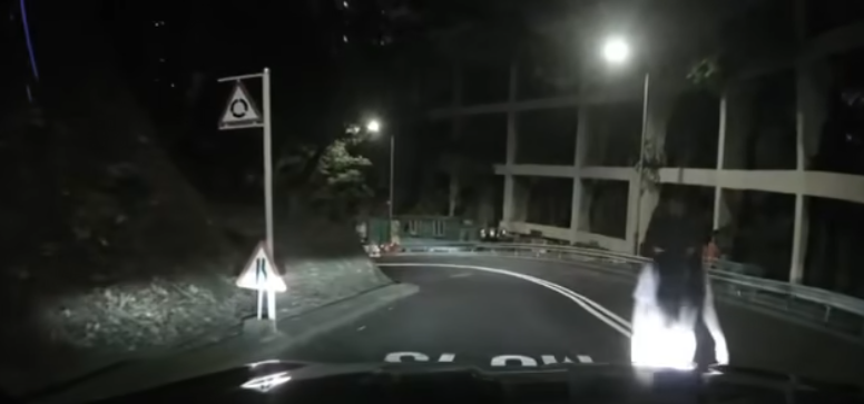 「女子」走近私家車。(FB 車cam L(香港群組))