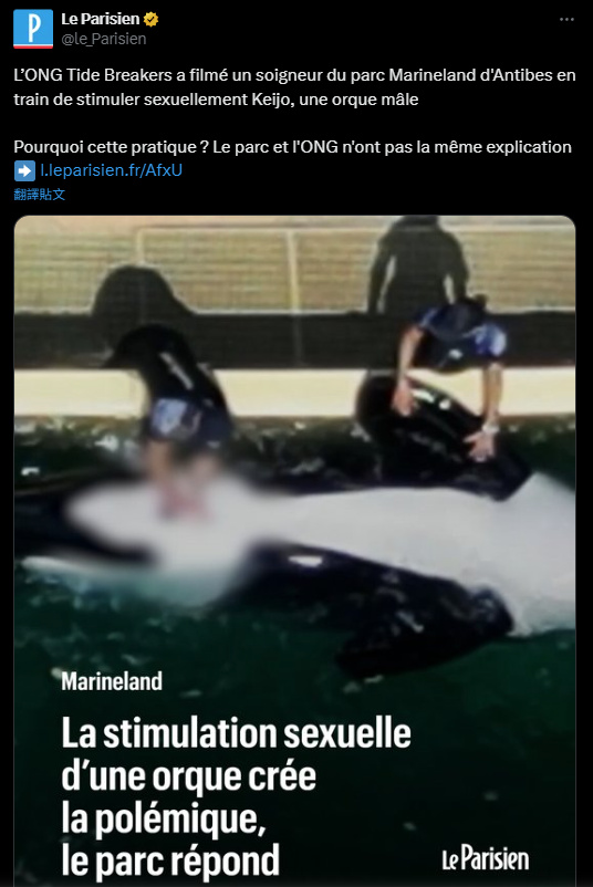 海洋樂園訓練員1天5次幫殺人鯨舒緩性慾 專家:墮落至新低點 質疑人工取精