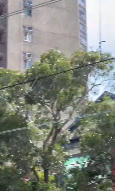 有屯門居民拍攝到疑落雹片段。(「屯門友」影片截圖)