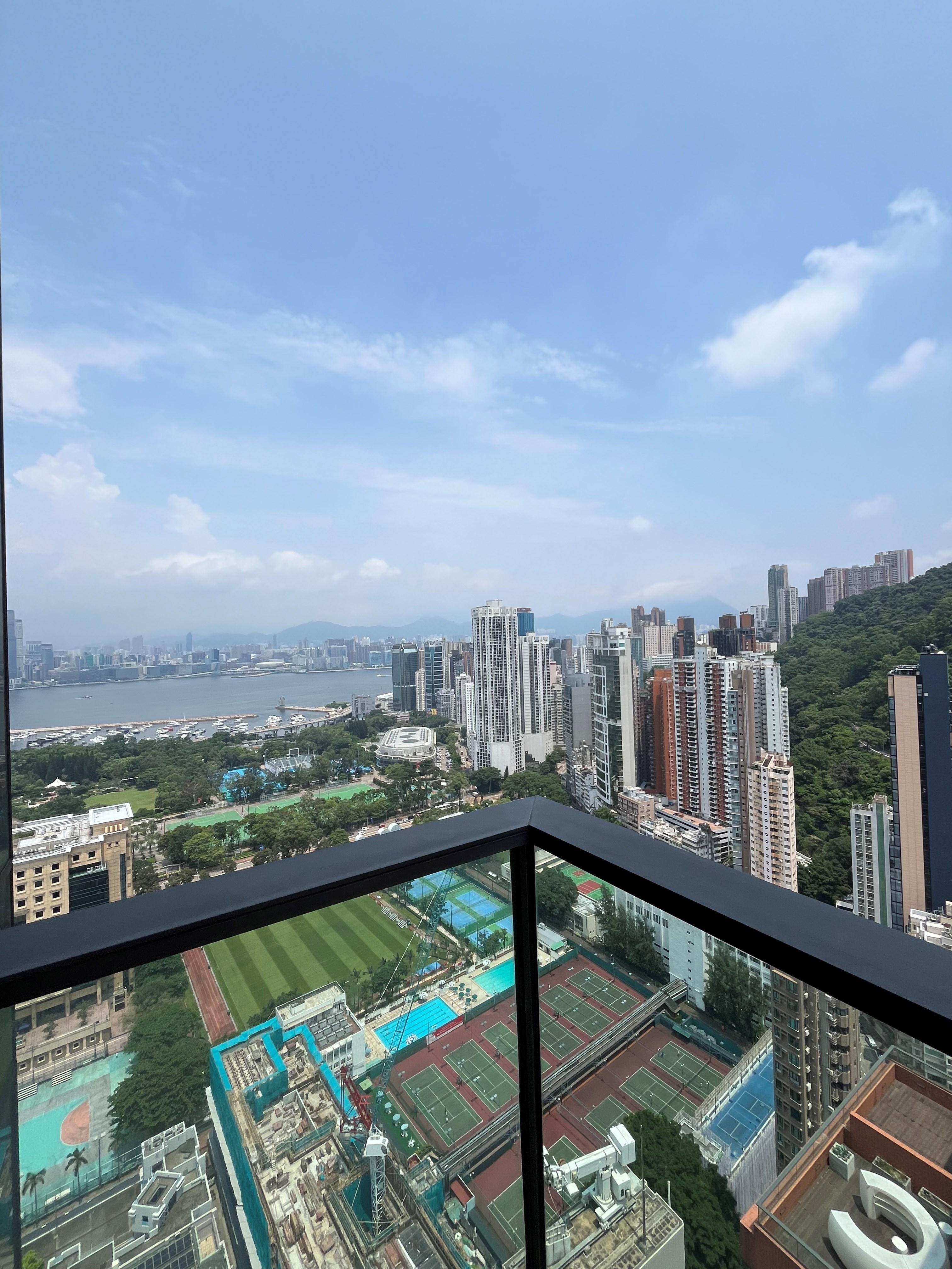 單位享維園景及山景,同時望部分維港海景,更可遠望九龍一帶景致。