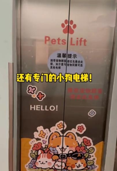 酒店亦設有寵屬電梯、「爪爪俱樂部」、狗狗游泳池及滑梯、障礙區等遊樂設施。(小紅書)