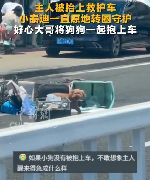 擔架一旁則是一隻落單狗狗全程不離不棄,但焦急地在男子身旁繞圈打轉。(微博)