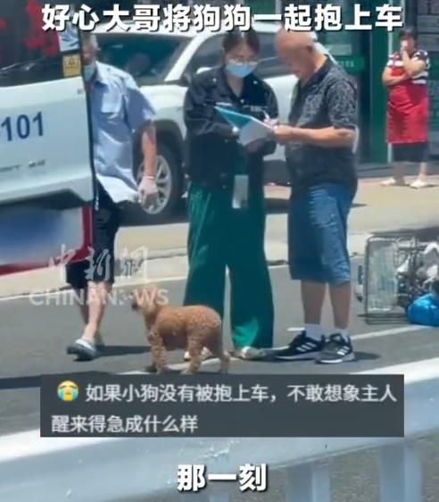 隨車人員低頭一看發現現場剩下狗狗獨自一「人」,便順手將小狗一同送上救護車。(微博)