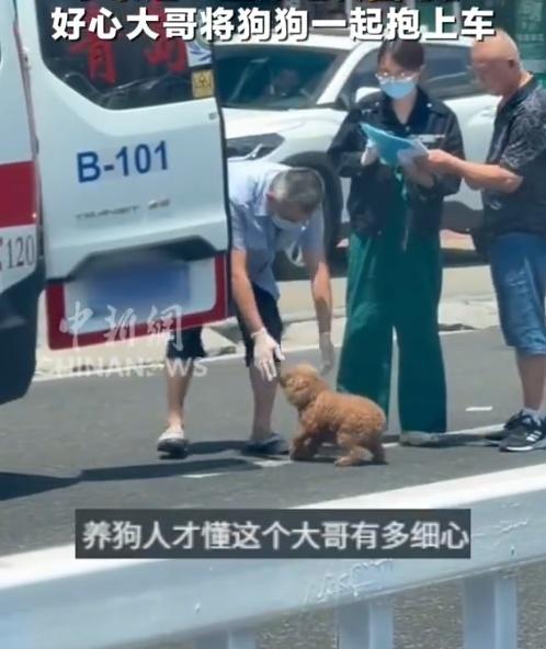 隨車人員低頭一看發現現場剩下狗狗獨自一「人」,便順手將小狗一同送上救護車。(微博)