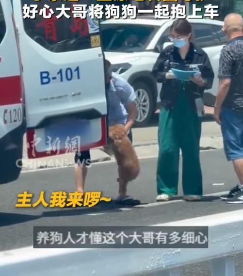 隨車人員低頭一看發現現場剩下狗狗獨自一「人」,便順手將小狗一同送上救護車。(微博)