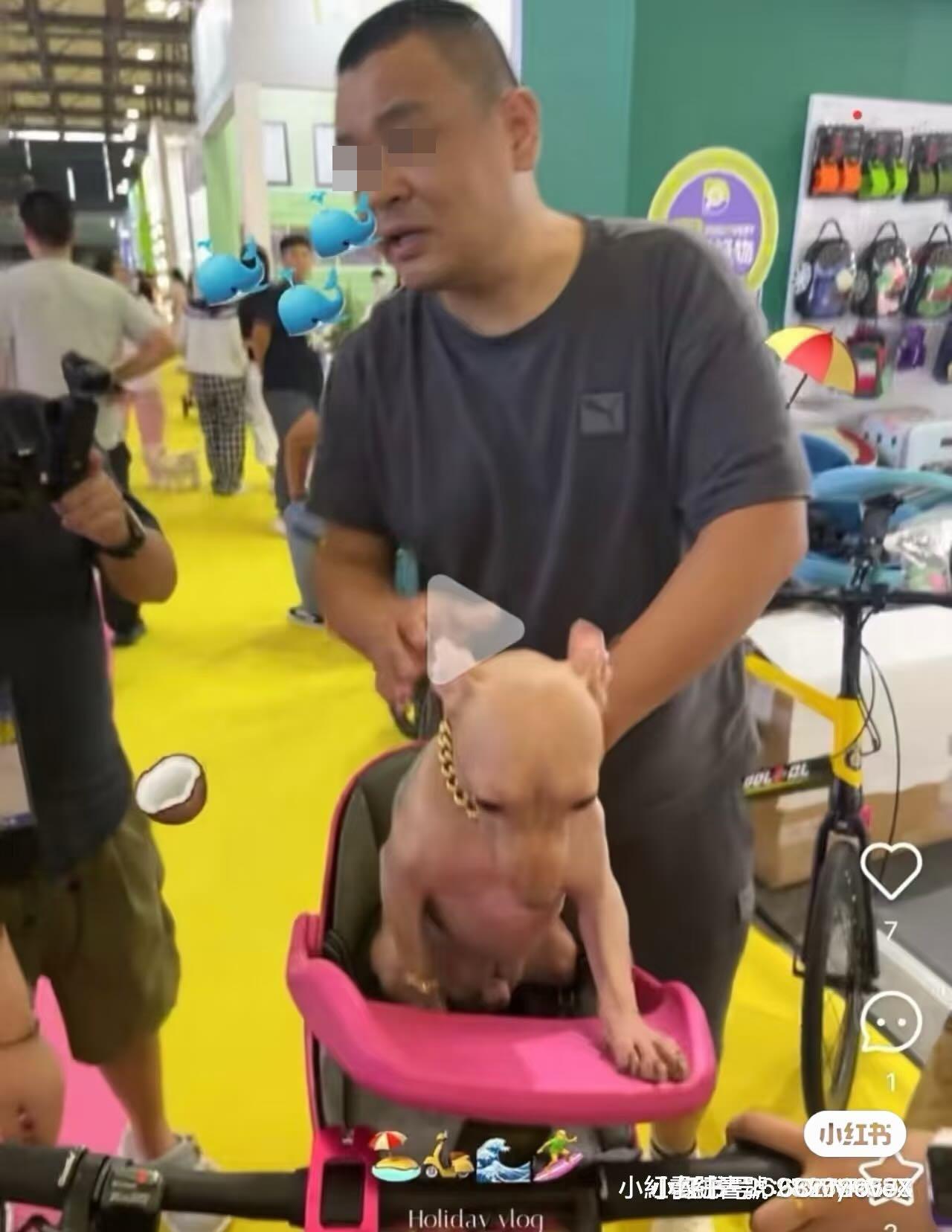 網民人肉搜尋出該名飼主的抖音帳號。(微博)