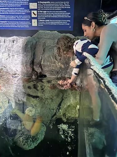 人母Britney Taryn於上月14日帶著6歲的兒子Leo去水族館。(X)