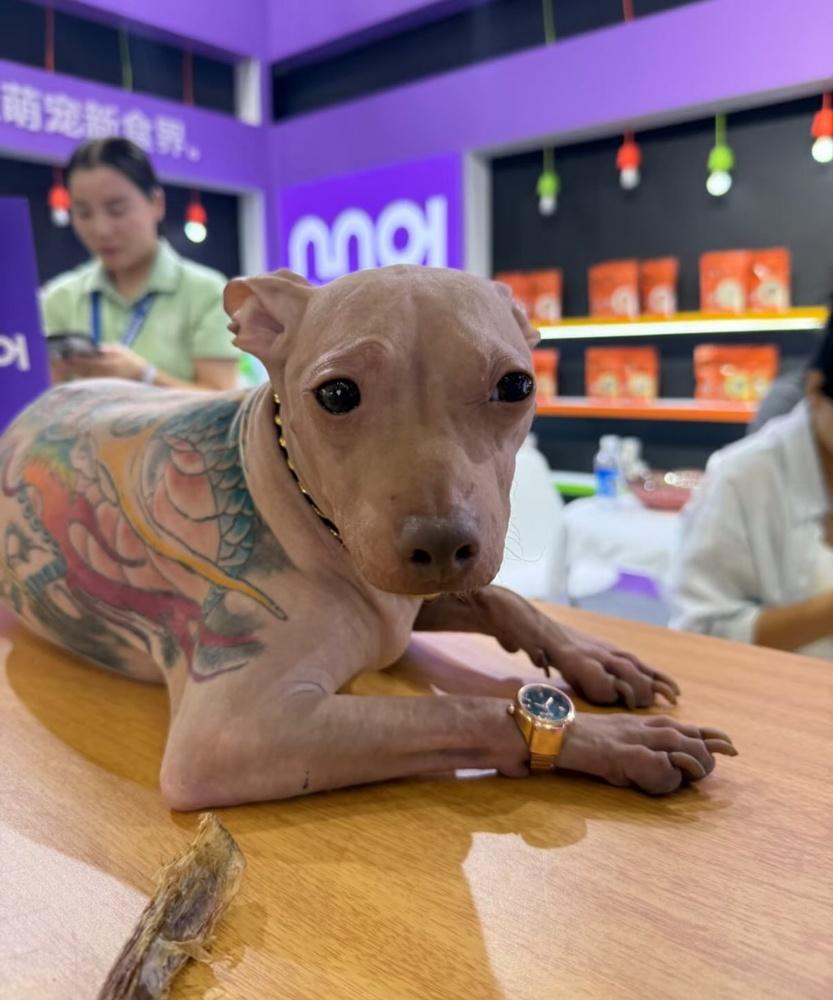 目擊者:是某一個參展攤位邀請對方來站台擺攤的。(微博)