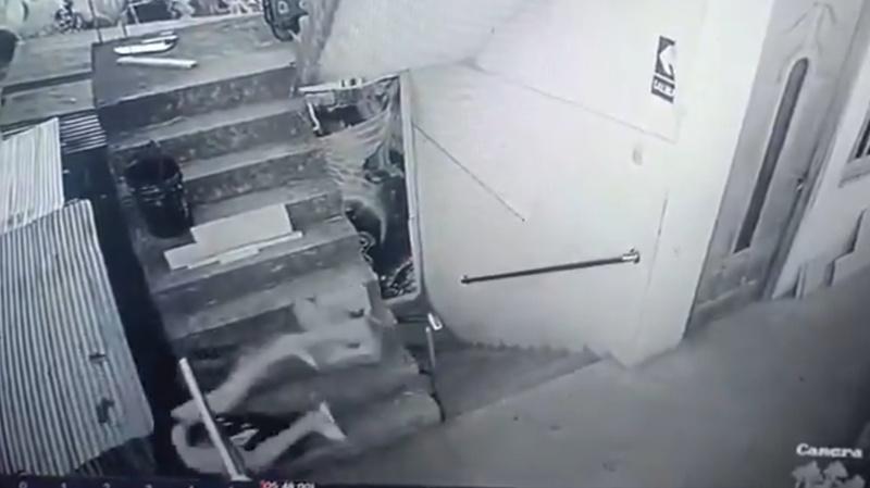 兩人一起倒樹葱墜樓。(X)