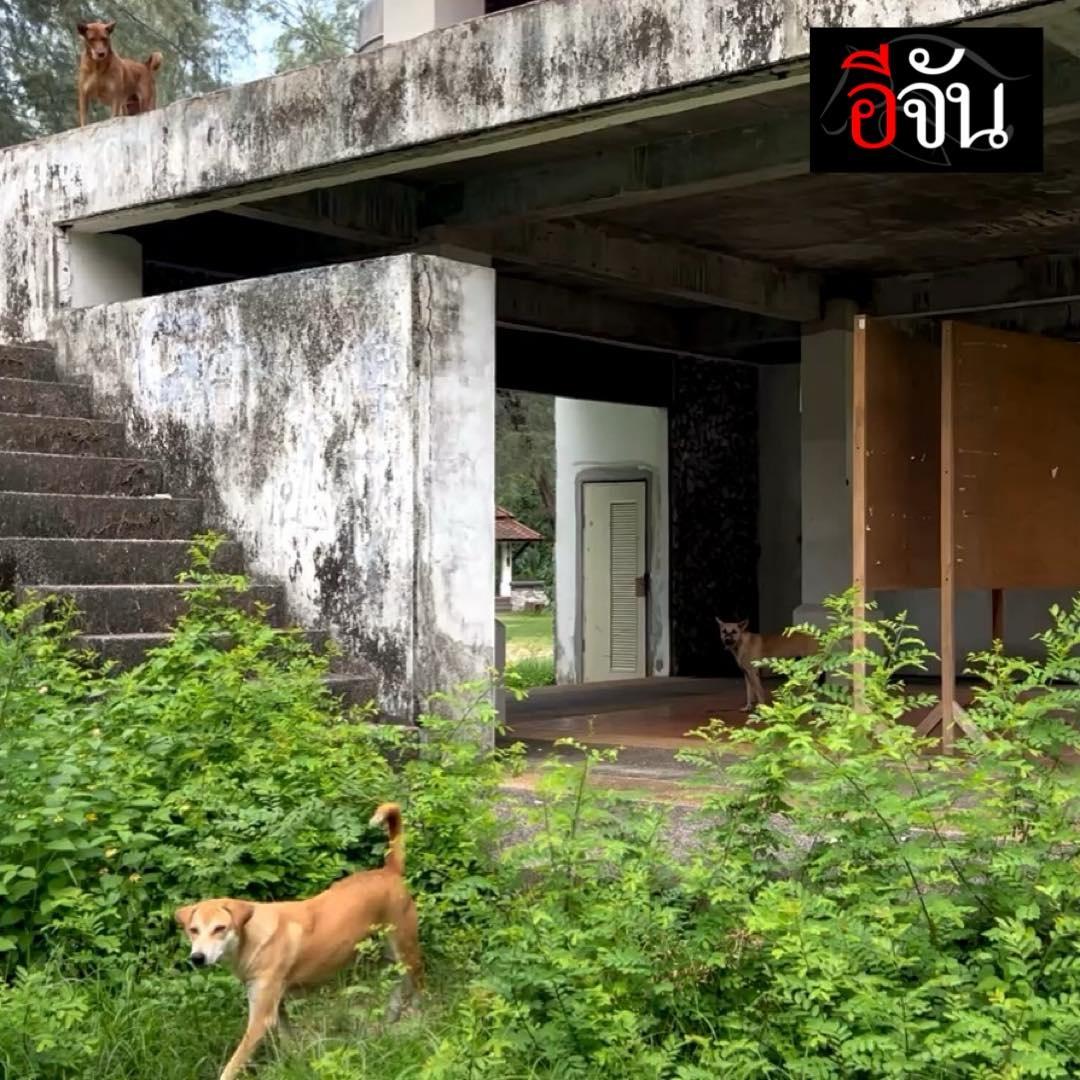 事發公廁附近。(YouTube)