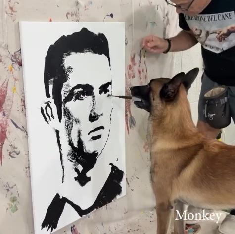 Monkey學懂握筆、流暢的在畫布上下移動,練習不同筆觸、上色等。(IG)