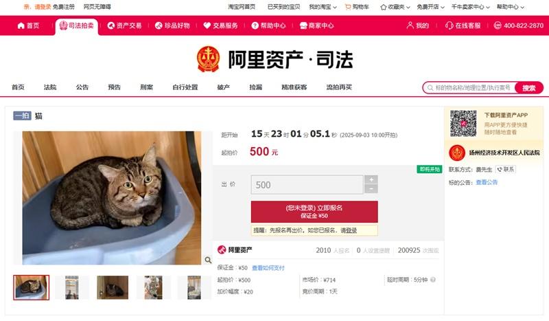 截至今日(18日)上午11時,已有逾2022人報名競標、13,683人設提醒追蹤,逾20萬人圍觀。(阿里資產拍賣平台)