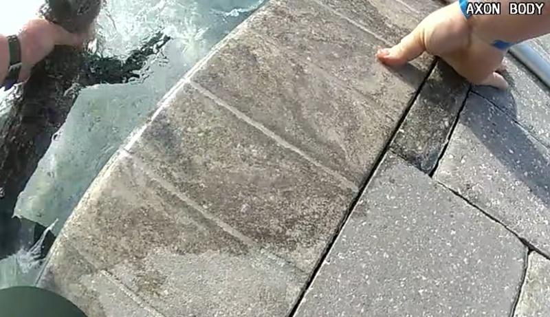 警員徒手抓住鱷魚的頸部、壓住尾巴。(FB)