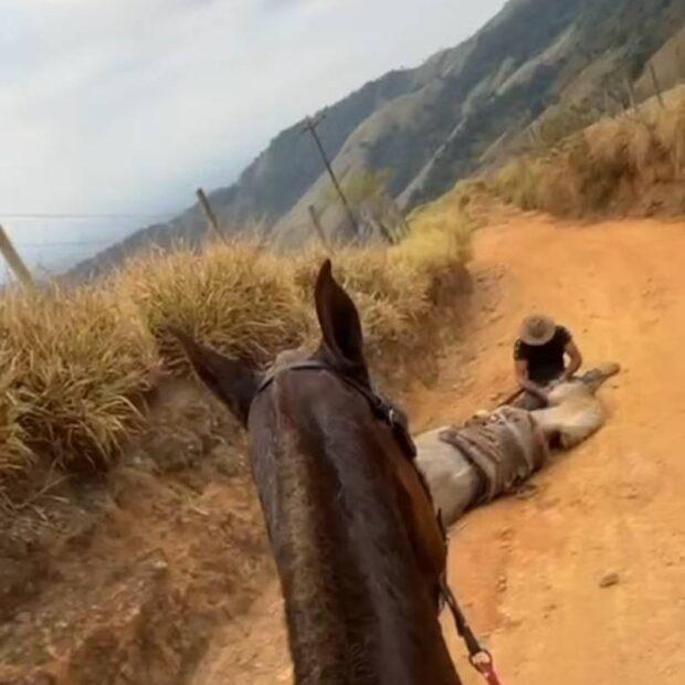 目擊者說,Andrey停下來不是讓馬匹休息,而是拿出一把刀,直接砍斷馬匹的腳。(X)