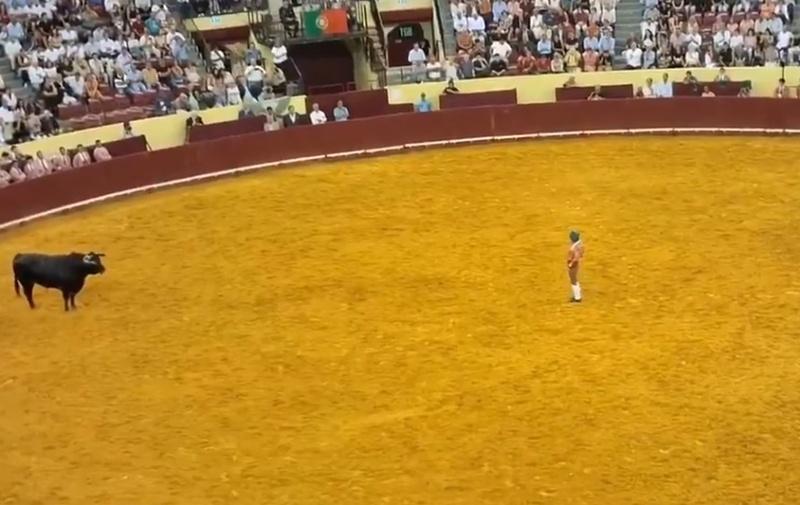 Trindade當時衝向已被刺上刀、被激怒的公牛。 (X)