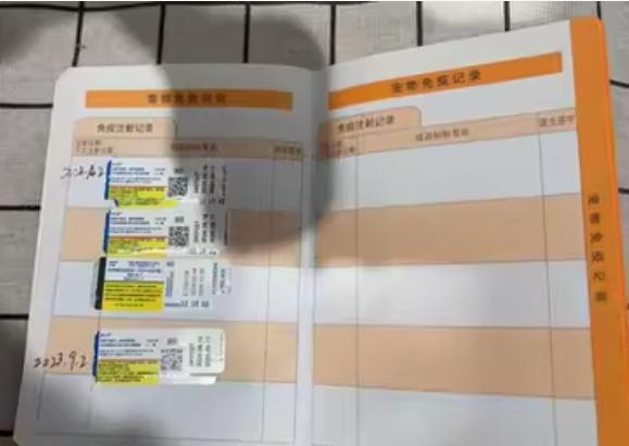 貓咪由一間寵物店代為照顧至今,目前已施打兩劑疫苗、尚未結紮,健康狀況良好。(阿里資產拍賣平台)