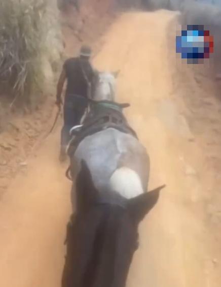 目擊者指,當時Andrey的馬匹似乎已經筋疲力盡,已走不動。(X)