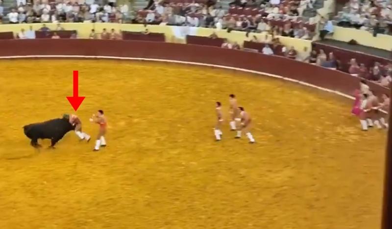 公牛高速衝來,Trindade嘗試抓住牛角控制牠時,卻被頂至離地。 (X)