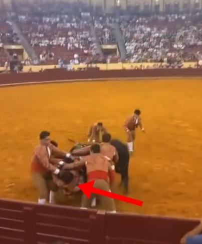 Trindade狠狠摔向場邊牆壁。 (X)