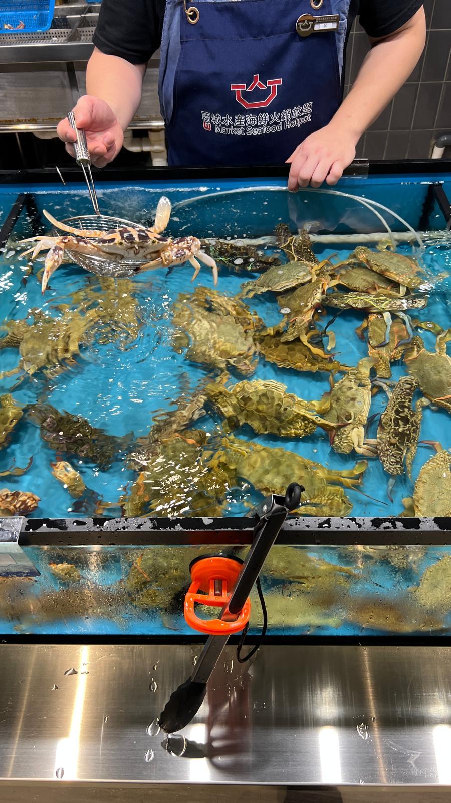 海鮮亮點厚肉藍點蟹與花蟹。