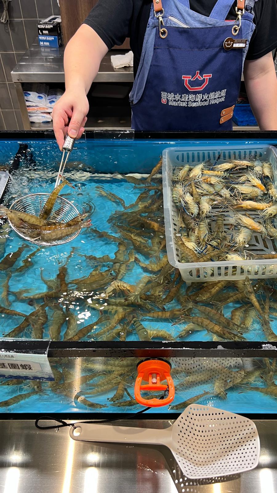 每日供應兩至三款蝦,如海蝦、大頭蝦、基圍蝦。