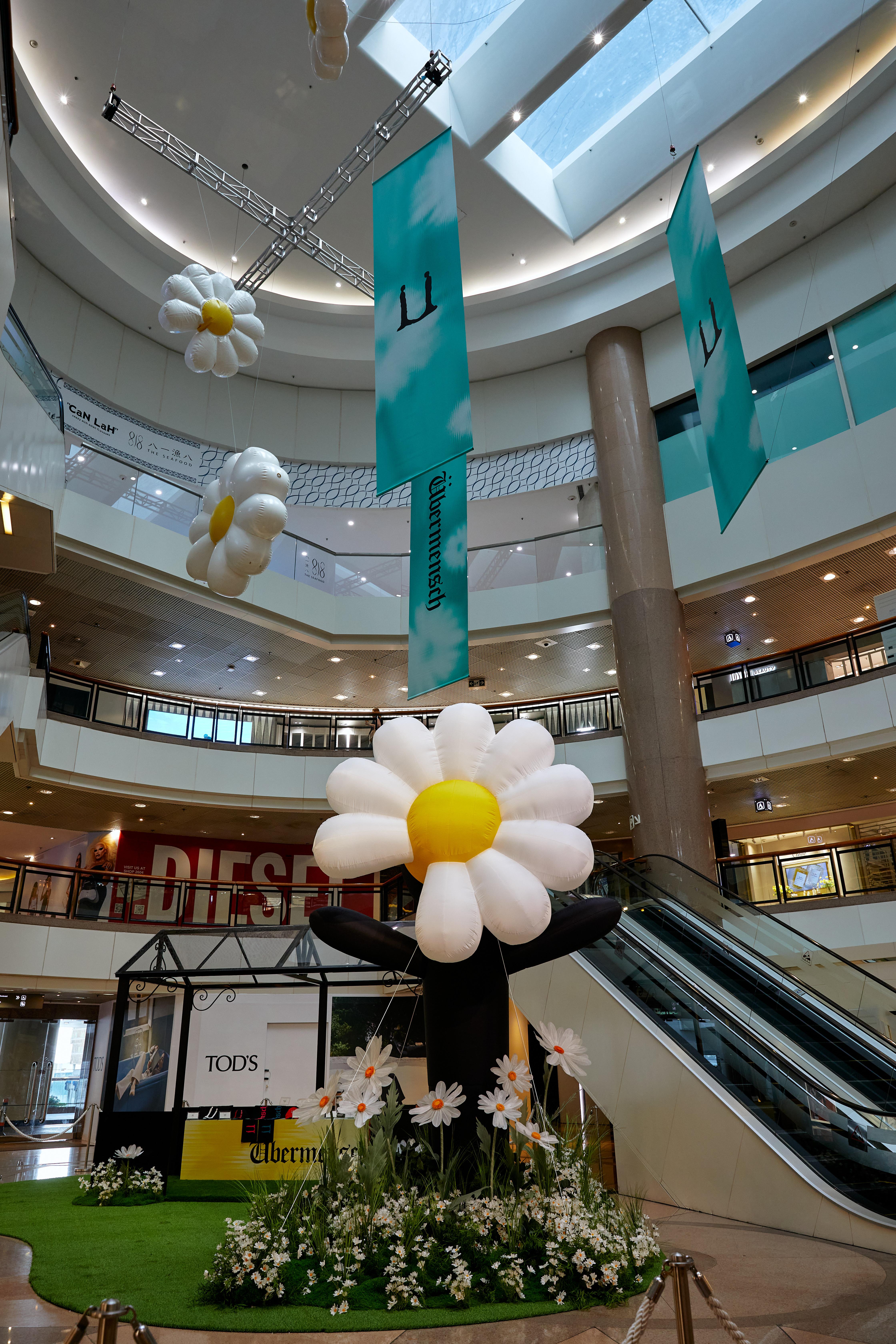 4.4米巨型雛菊及懸浮雛菊打卡裝置。