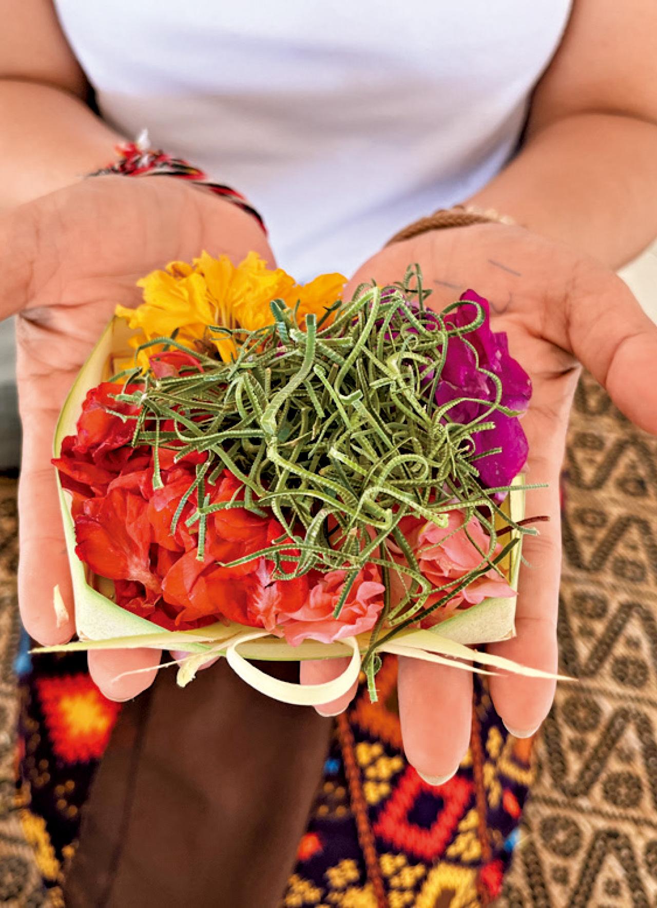 印尼 峇里島 散步絮語 莎莉