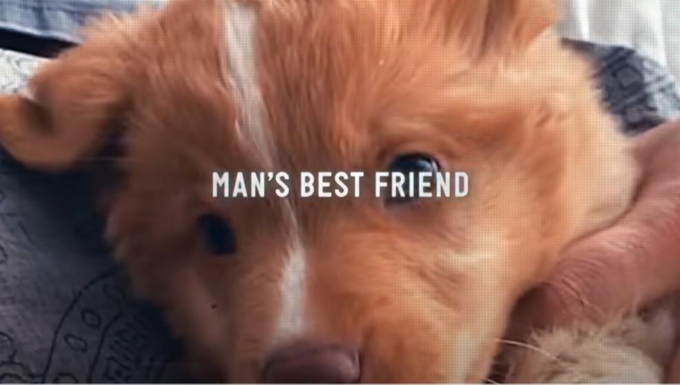 預告片開首,呈現Indy自小跟主人生活的片段。