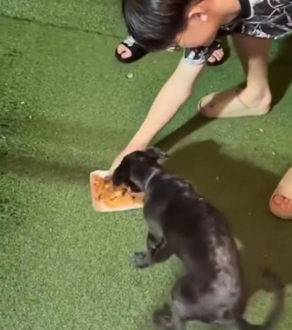 網紅吃剩雞骨頭放入飯俾露宿者 遭網民圍剿辯稱是劇本