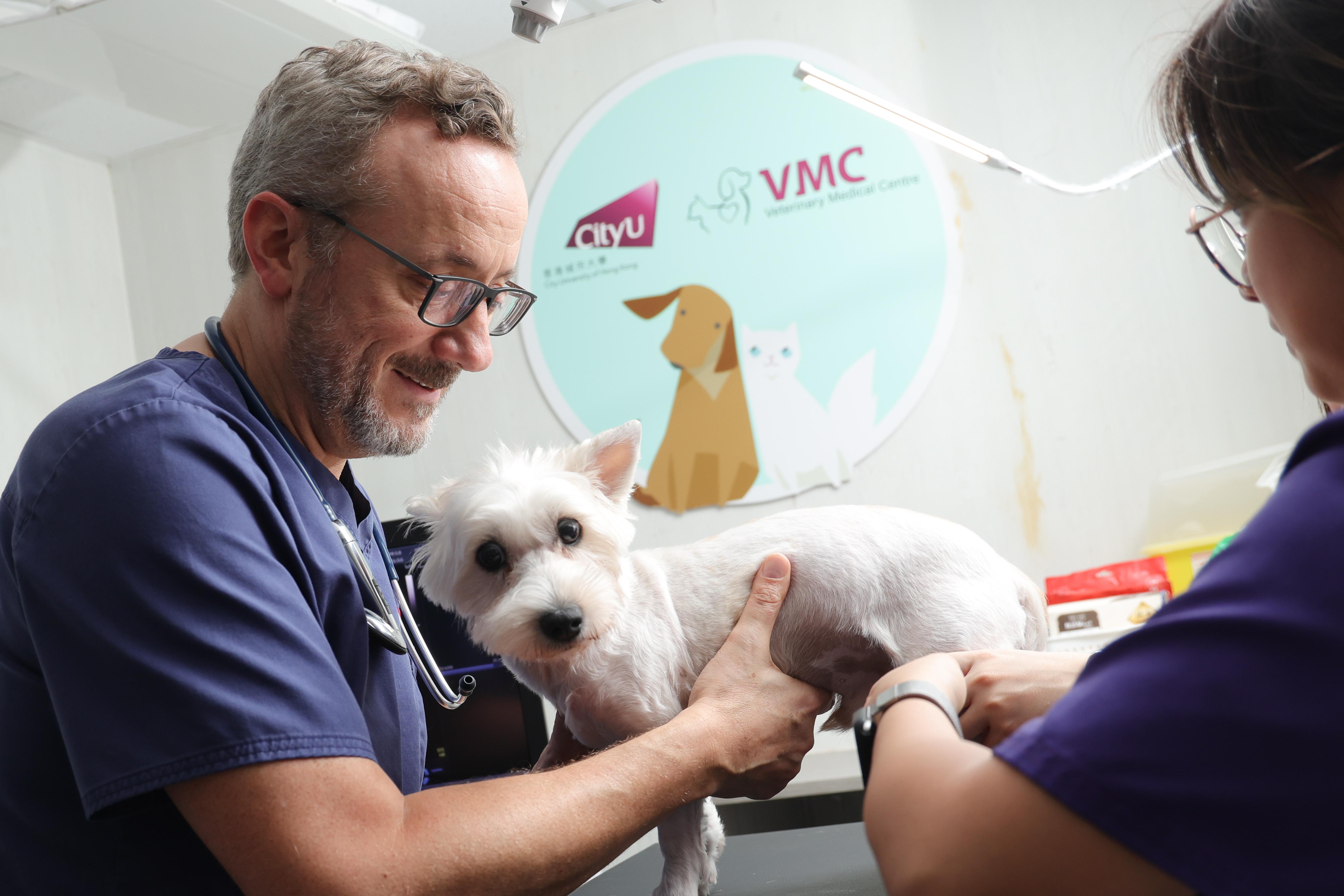 João醫生提醒:「若毛孩行動變得遲緩或容易疲倦,不應單純歸因於自然老化。主人應保持警覺,及早安排檢查,才能把握黃金治療時機。」