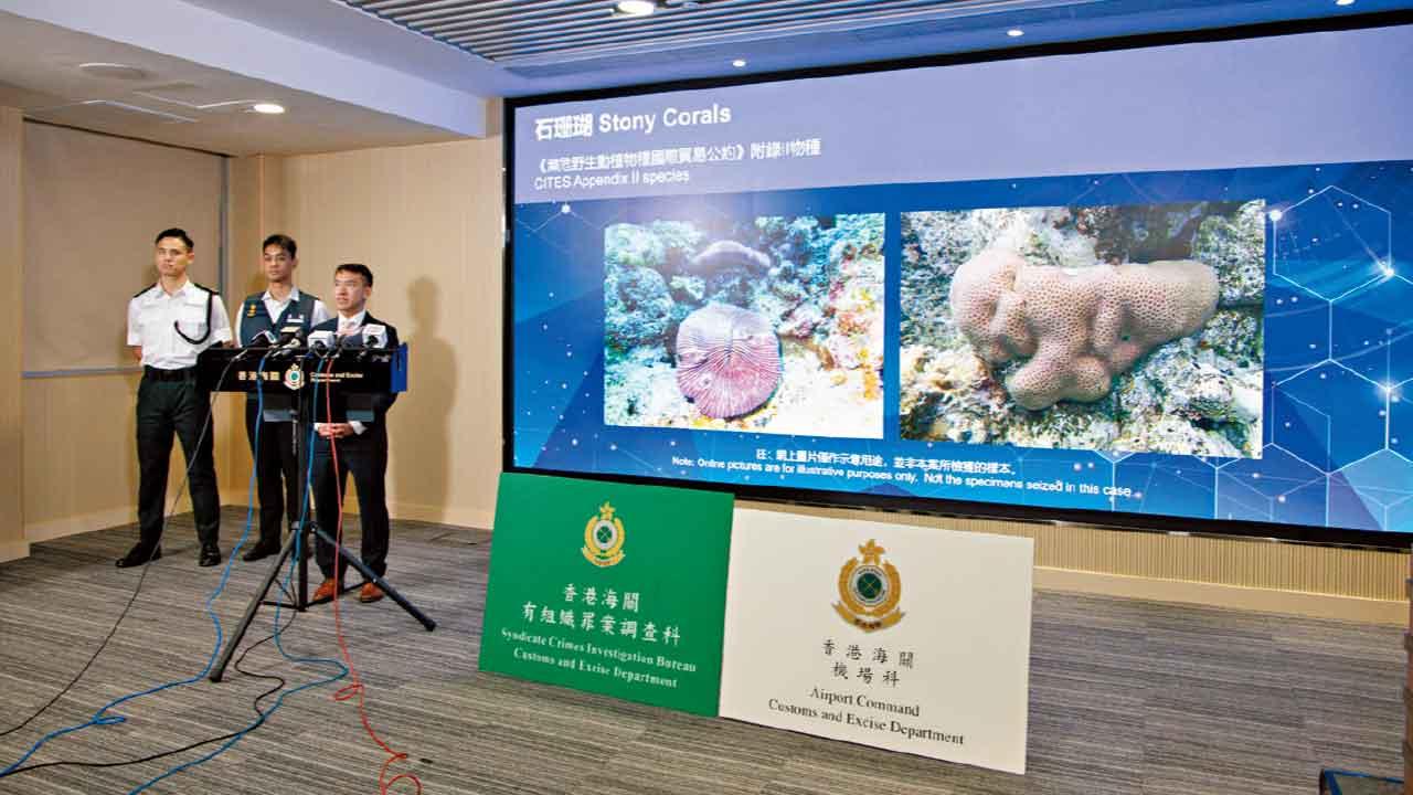 海關早前進行打擊空運進口走私瀕危物種特別行動