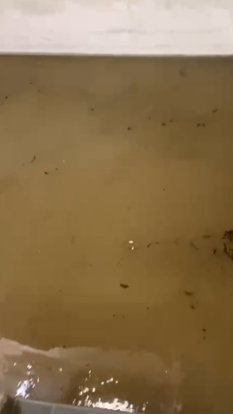 瑪麗醫院嚴重水浸。(網上片段截圖片)