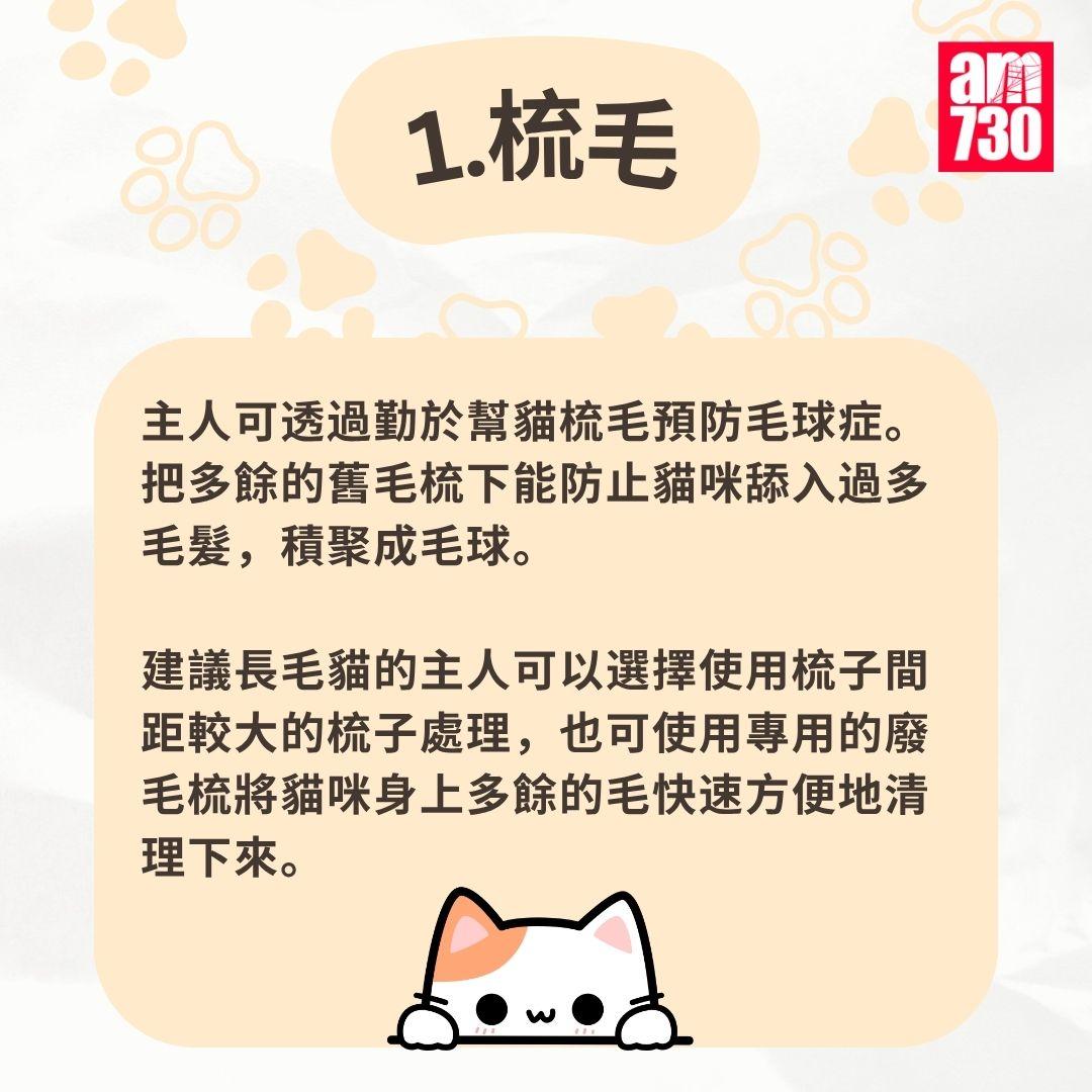 貓咪|7步預防毛球症