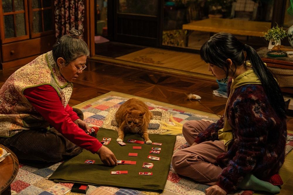貓演員「金童」在《調教我的喪屍女兒》會與人類玩牌互動。